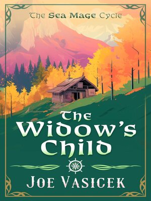 cover image of The Widow's Child
